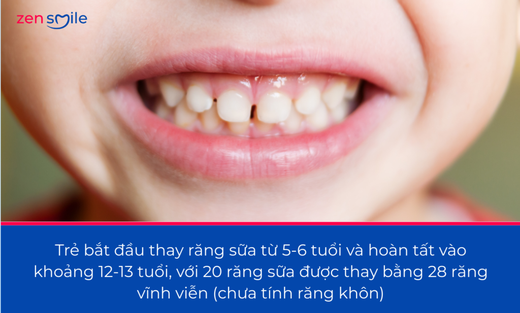Nhổ răng em bé — ảnh 6